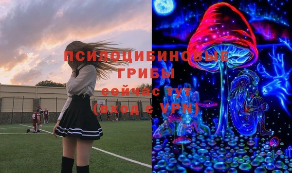 a pvp Богородицк