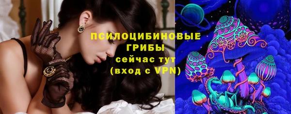 метамфетамин Богданович