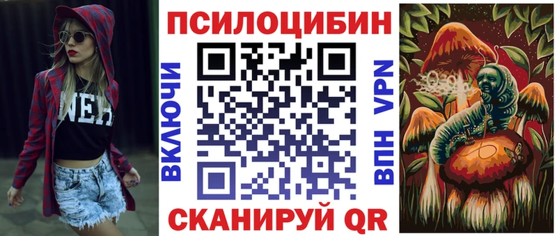 Купить где  Краснотурьинск  Галлюциногенные грибы Psilocybe 